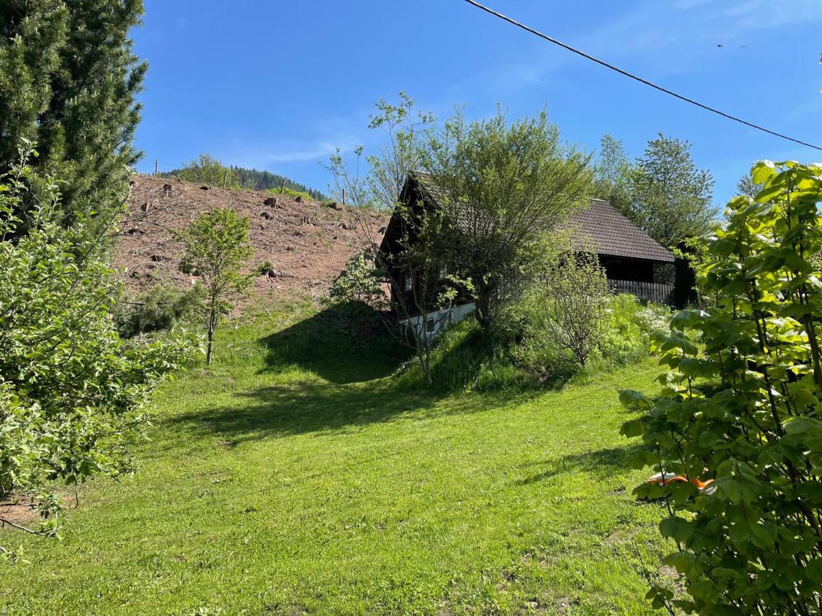 Ferienhuette Bosic Villa Baierdorf Exteriör bild